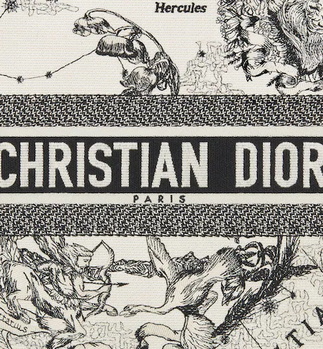 LARGE DIOR BOOK TOTE Latte Toile de (42 x 35 x 18.5 cm)