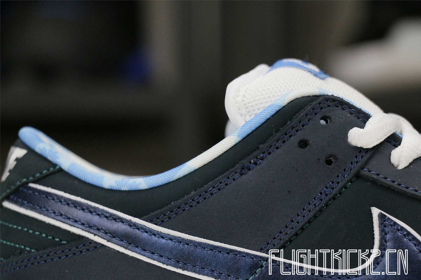 Nike Dunk SB Low Blue Lobster