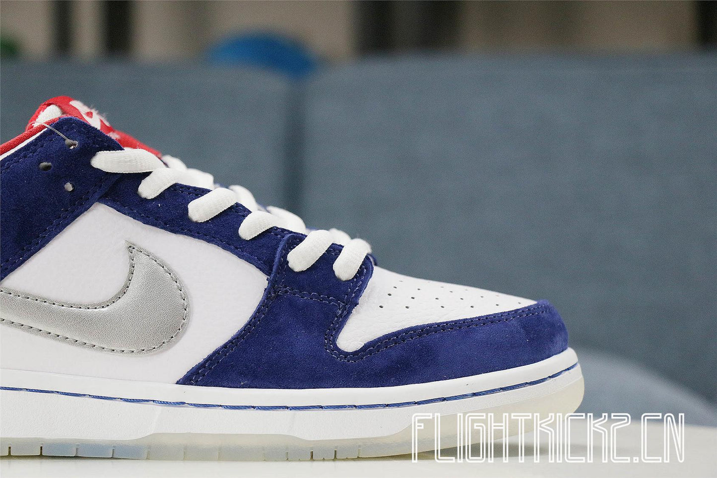 Nike Dunk SB Low Ishod Wair BMW