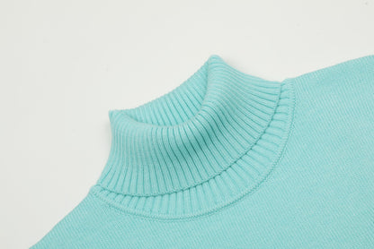 Am1 2024SS classic lake green jacquard big heart turtleneck sweater