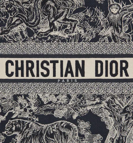 LARGE DIOR BOOK TOTE Blue Toile de (42 x 35 x 18.5 cm) ESG4SSXH