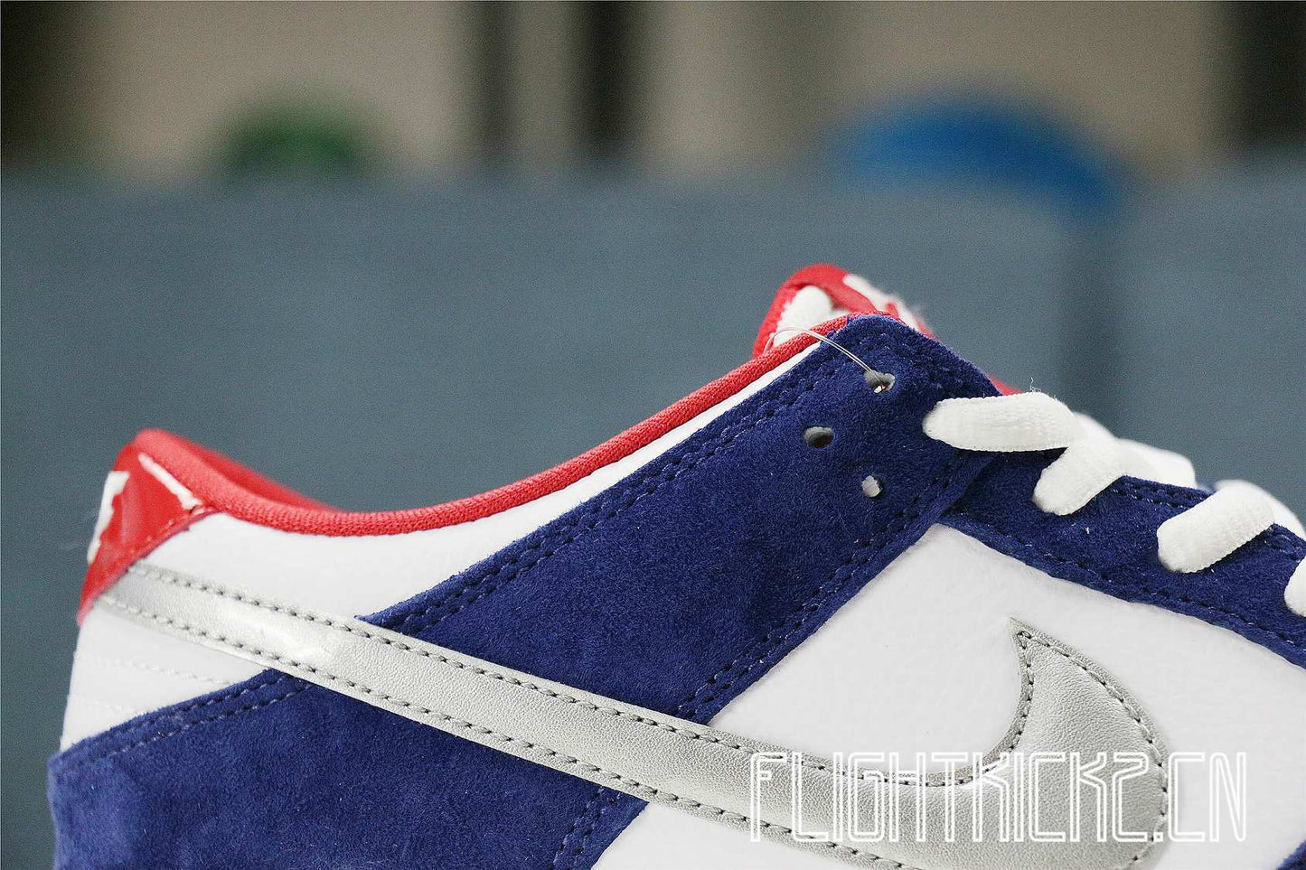 Nike Dunk SB Low Ishod Wair BMW