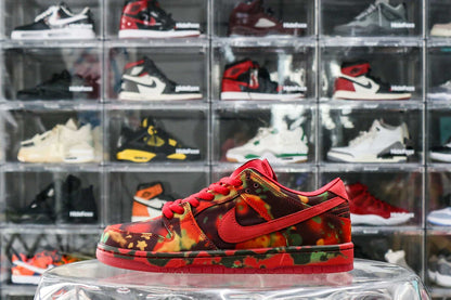 Nike SB Dunk Low The Wizard of Oz Poppy Field
