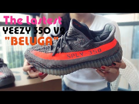 Adidas Yeezy 350 Boost V2 SPLV Beluga 2016(Ln5 A1 batch)