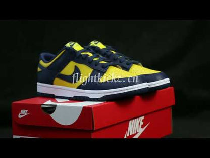 Nike Dunk Low Michigan 2021(LN5 A1 Batch)