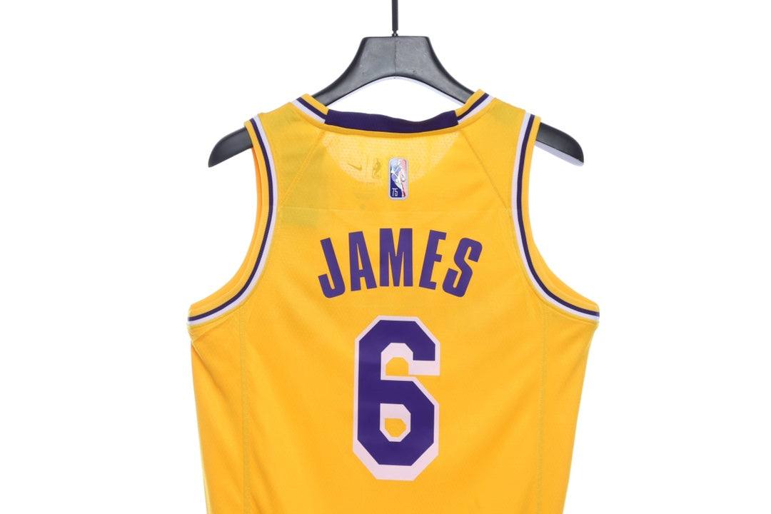 Nk NBA Lakers James James No. 6 jersey